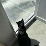 Ontario Ranch Pet Clinic