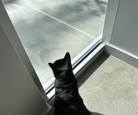 Ontario Ranch Pet Clinic