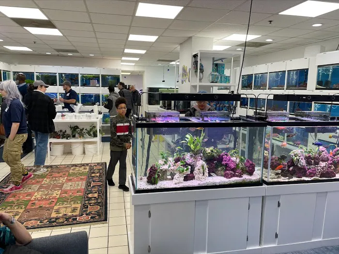 Capital Exotic Fish Picture 3