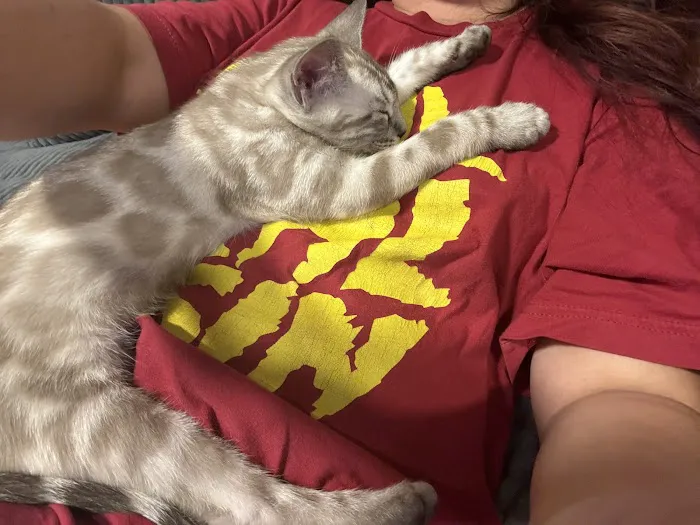 Cali Bengals Picture 8