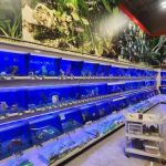 Banfield Pet Hospital