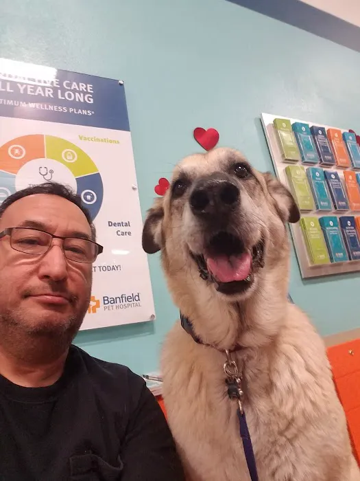 Banfield Pet Hospital Picture 5