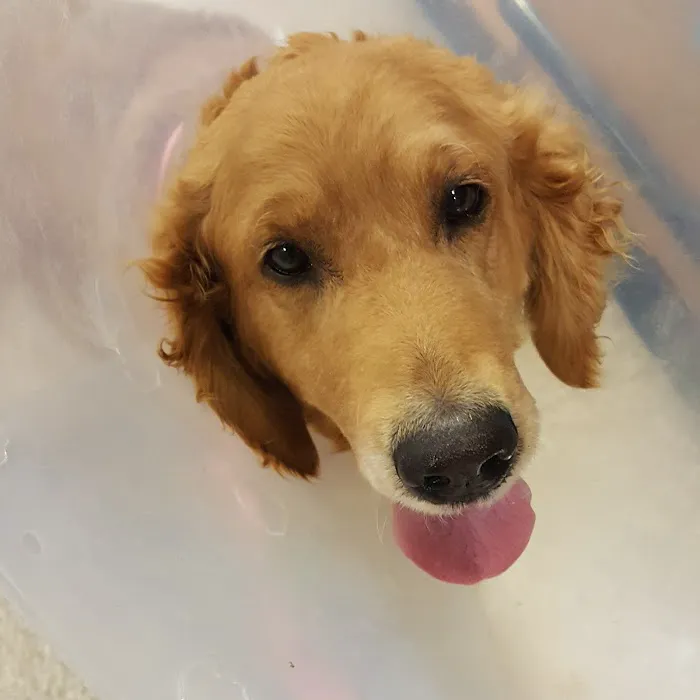 Banfield Pet Hospital Picture 4