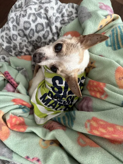 Banfield Pet Hospital Picture 8