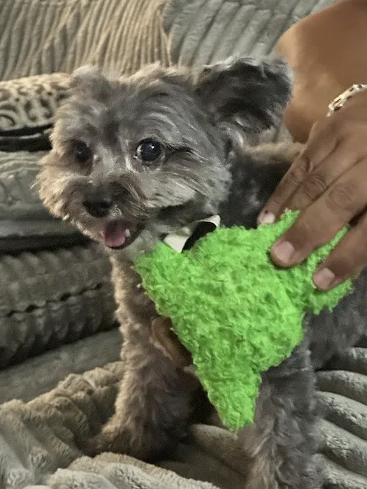 Banfield Pet Hospital Picture 6