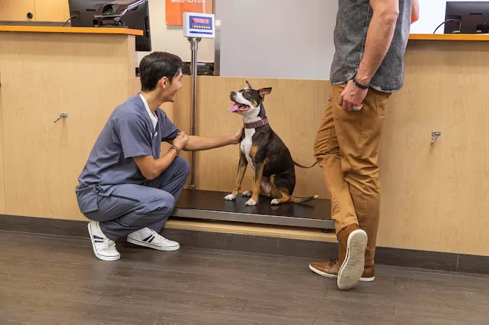Banfield Pet Hospital Picture 2