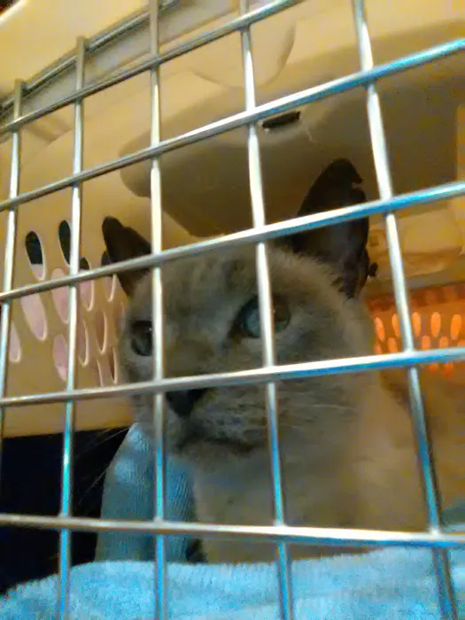 Banfield Pet Hospital Picture 3