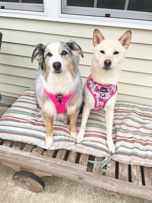 Sassy Woof Picture 2