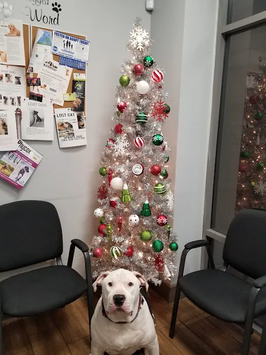 Eastvale Veterinary Hospital Picture 7