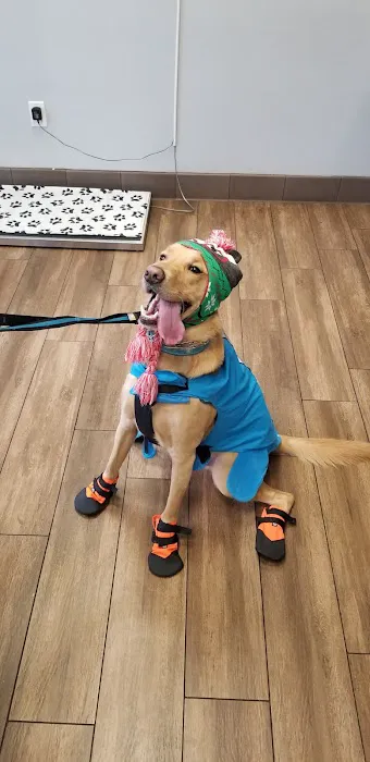 Eastvale Veterinary Hospital Picture 8