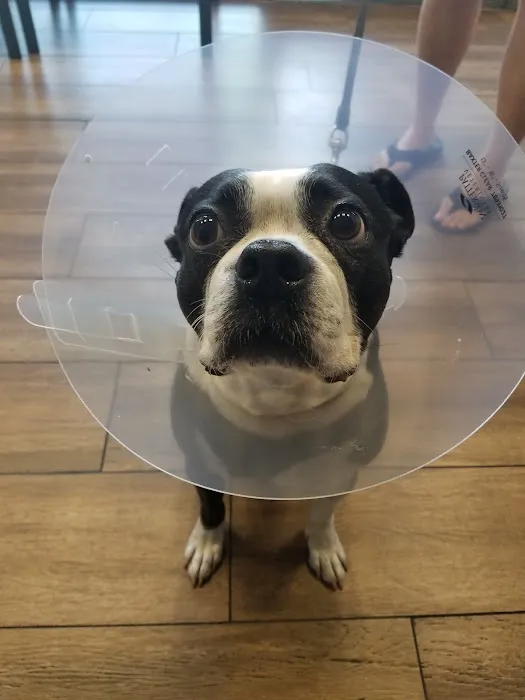 Eastvale Veterinary Hospital Picture 1