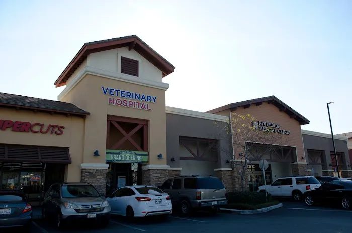 Eastvale Veterinary Hospital Picture 2