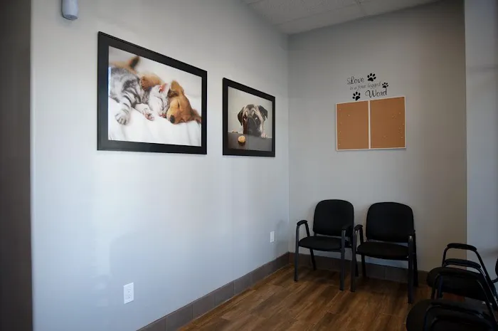 Eastvale Veterinary Hospital Picture 5