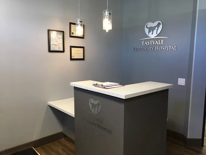 Eastvale Veterinary Hospital Picture 9