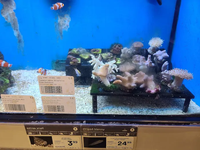Petco Picture 2