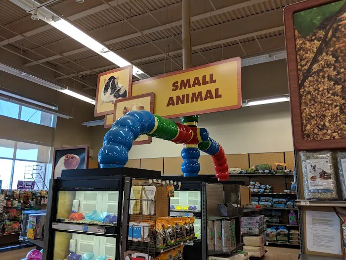 Petco Picture 7