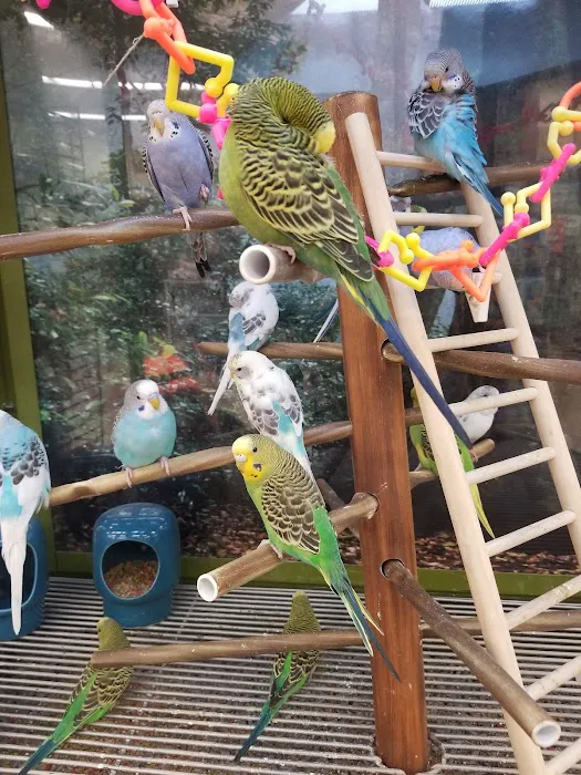 Petco Picture 10