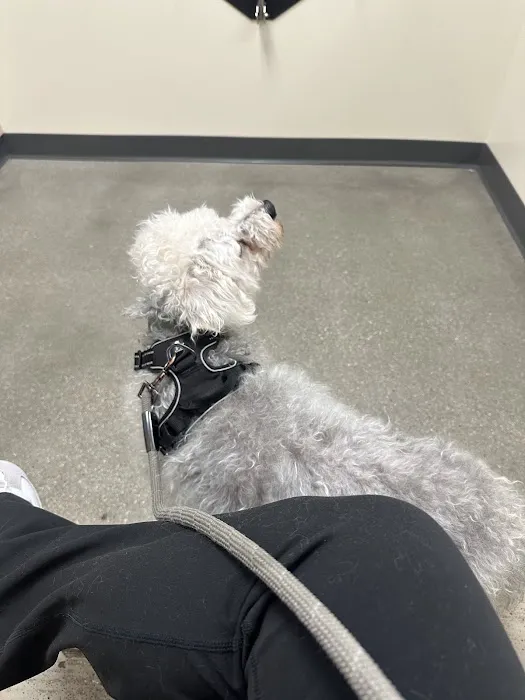Vetco Total Care Animal Hospital Picture 2