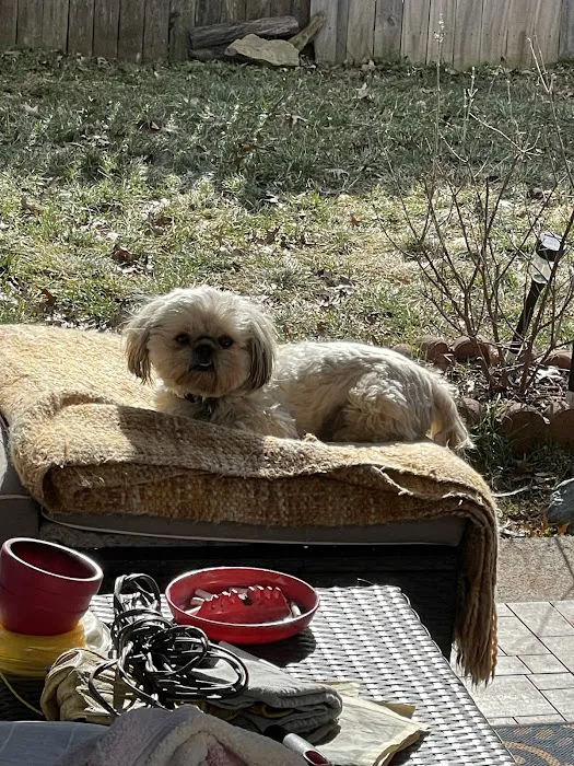Belly Rubs Biscuit Bar & Spa Picture 10
