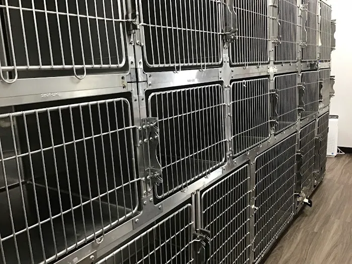 Mira Loma Animal Hospital Picture 2