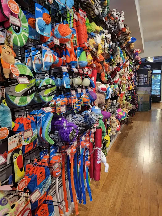 Weber's Pet Supermarket Picture 6