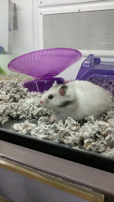 Petco Picture 6