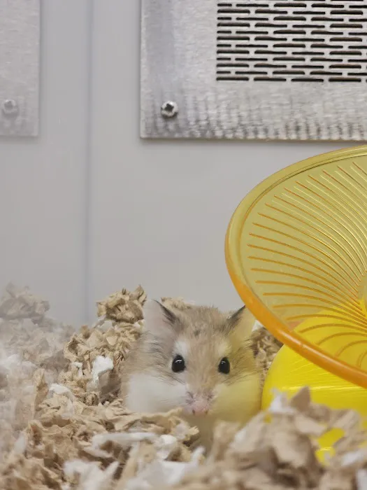 Petco Picture 10