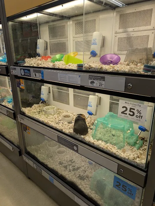 Petco Picture 2