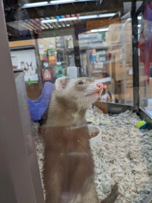 Petco Picture 9