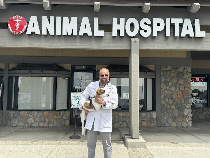Adobe Animal Hospital Picture 1