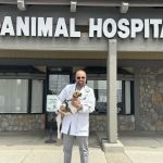 Adobe Animal Hospital