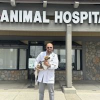 Adobe Animal Hospital ico
