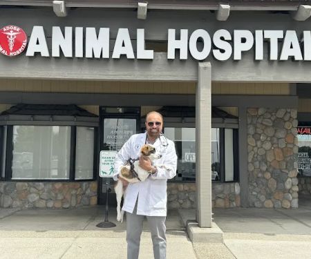 Adobe Animal Hospital