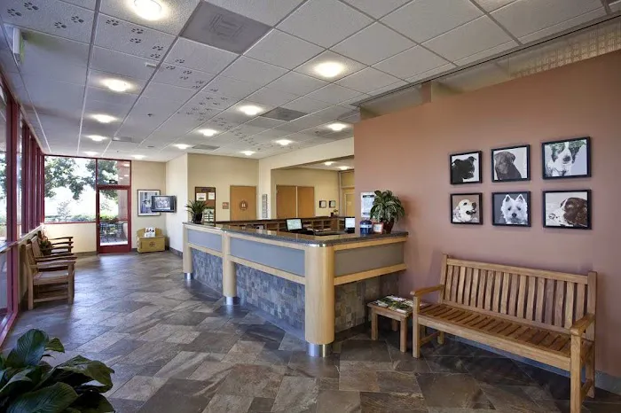 Terra Vista Animal Hospital Picture 9