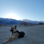 Terra Vista Animal Hospital