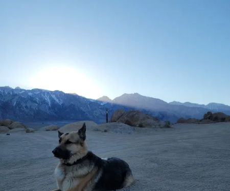 Terra Vista Animal Hospital