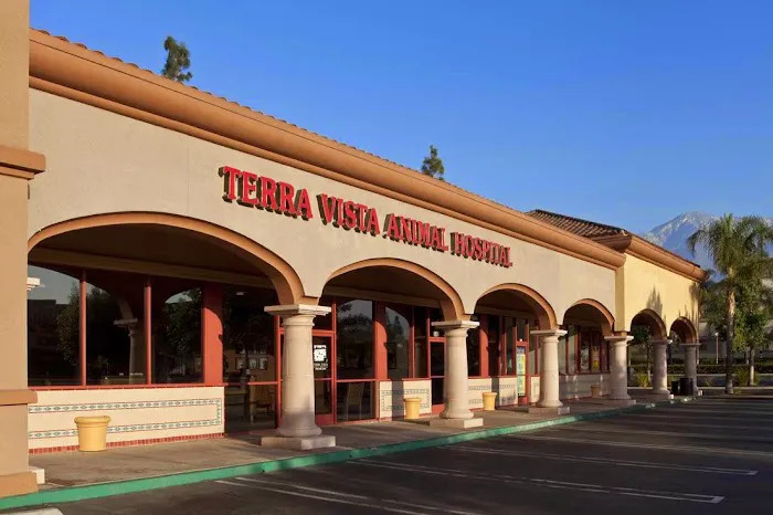 Terra Vista Animal Hospital Picture 5