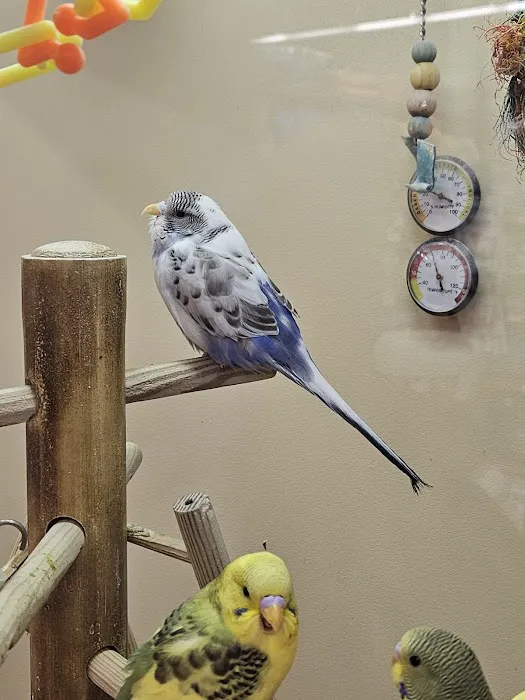 Petco Picture 8