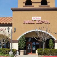 Victoria Animal Hospital ico
