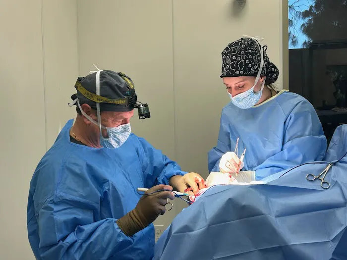 Inland Empire Veterinary Surgical Specialty Picture 4