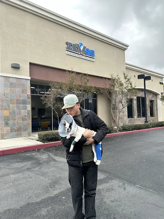 Inland Empire Veterinary Surgical Specialty Picture 6