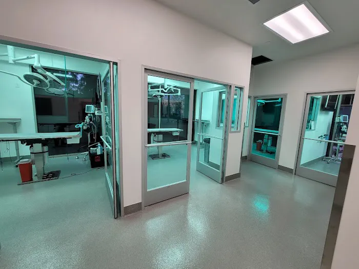 Inland Empire Veterinary Surgical Specialty Picture 8