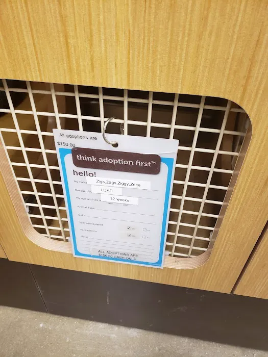 Petco Picture 9
