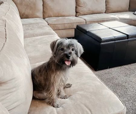 Petco