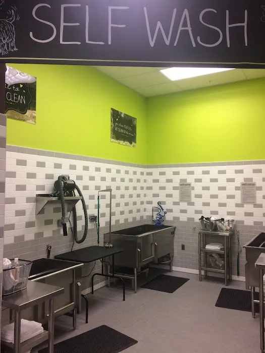 Petco Picture 6