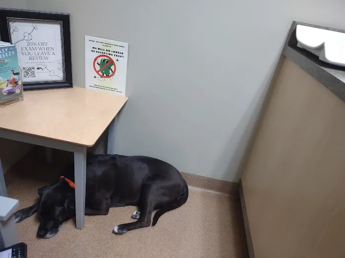 Rancho Regional Veterinary Hospital Picture 4