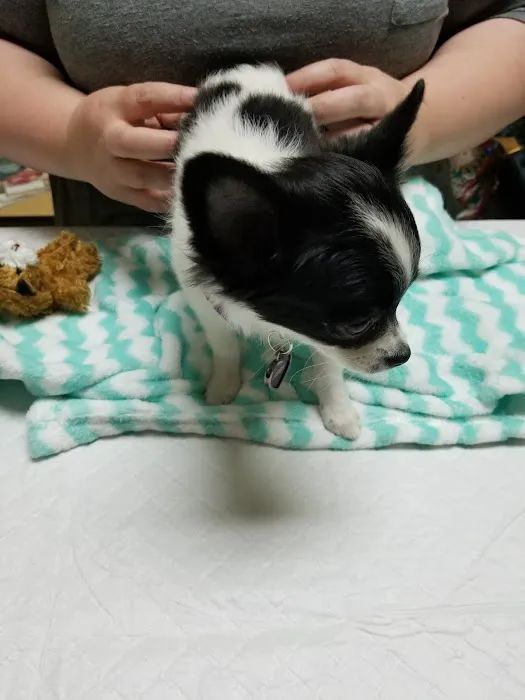 Rancho Regional Veterinary Hospital Picture 2