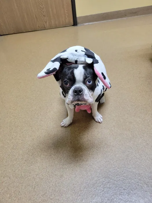 Rancho Regional Veterinary Hospital Picture 5