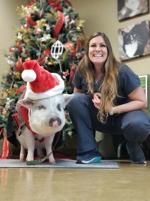 Rancho Regional Veterinary Hospital Picture 3