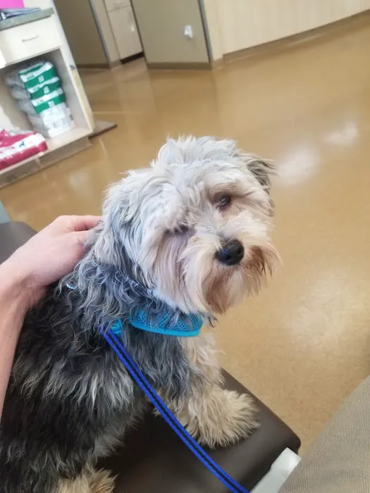 Rancho Regional Veterinary Hospital Picture 8